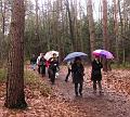 Winterwandeling-Kiewit (18)